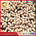 Export High Quality Peanut Kernels with Healthy Value